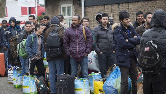 41% من اللاجئين السوريين بهولن...