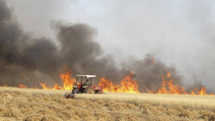 بمليارات الدولارات.. خسائر الق...