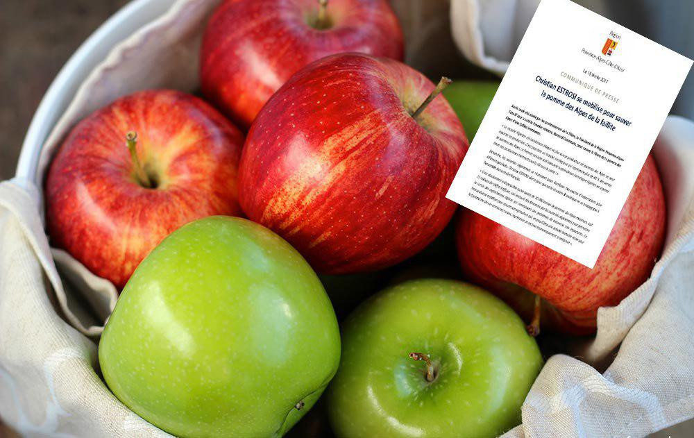 النظام يستورد التفاح من إيطالي...