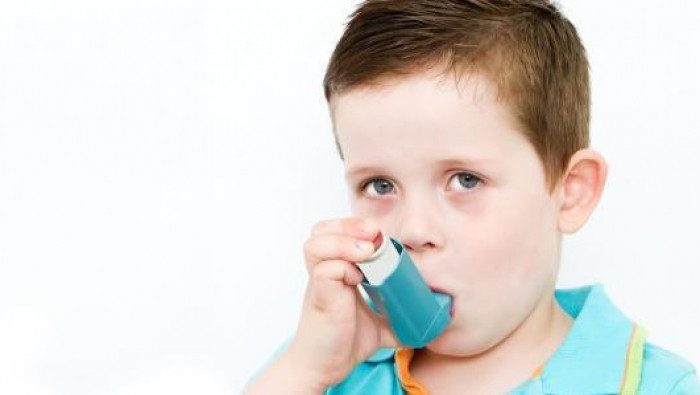 ما مسببات الربو وطرق الوقاية م...