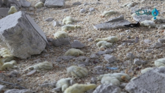 بالصور.. مراسل بلدي يوثق استهد...