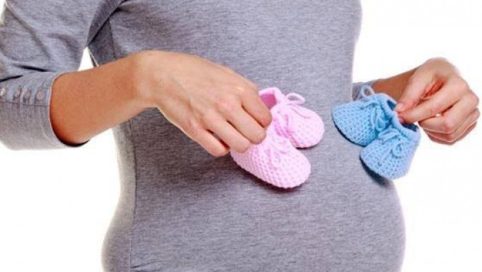 سابقة علمية.. تحديد جنس المولو...