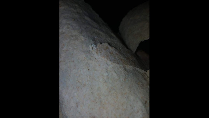 في حمص.. الحشرات تغزو رغيف الخ...