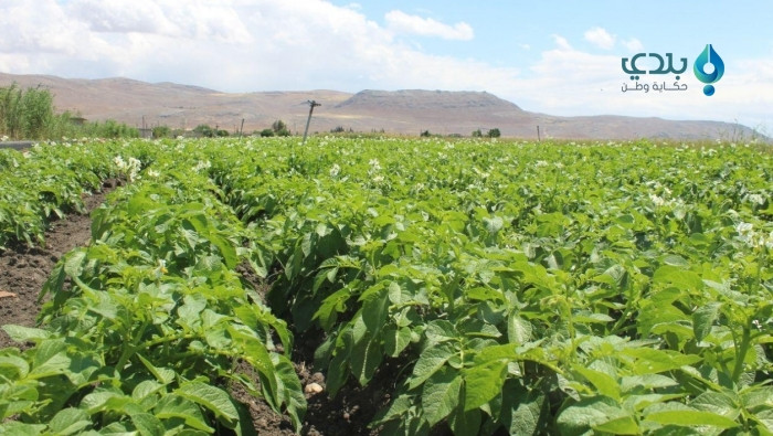 ارتفاع أسعار المحروقات يهدد مح...