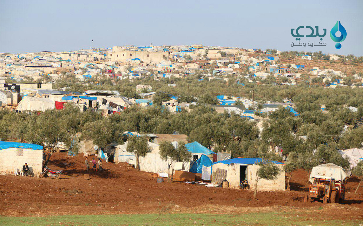 "الزيتون" ضحية جديدة للتغير ال...