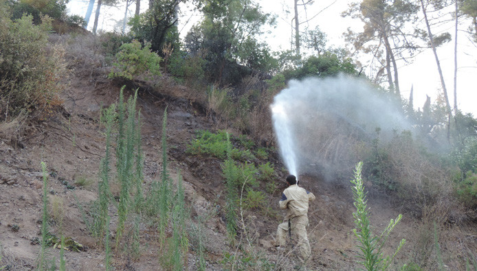 غابات ريف اللاذقية ...خارج الح...