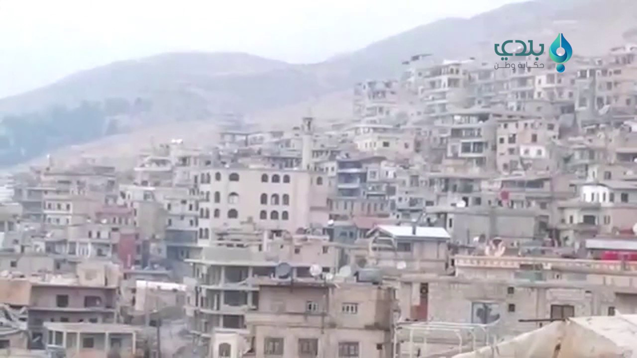 بعد صمود أسطوري.. "مضايا" تودّ...