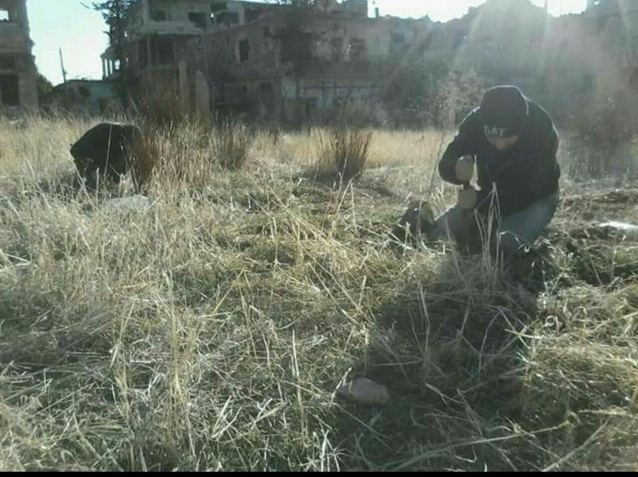 مع إطباق الحصار.. ظاهرة أكل ال...