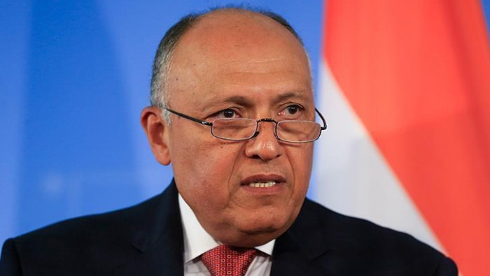 سامح شكري: مصر تبذل كافة الجهو...