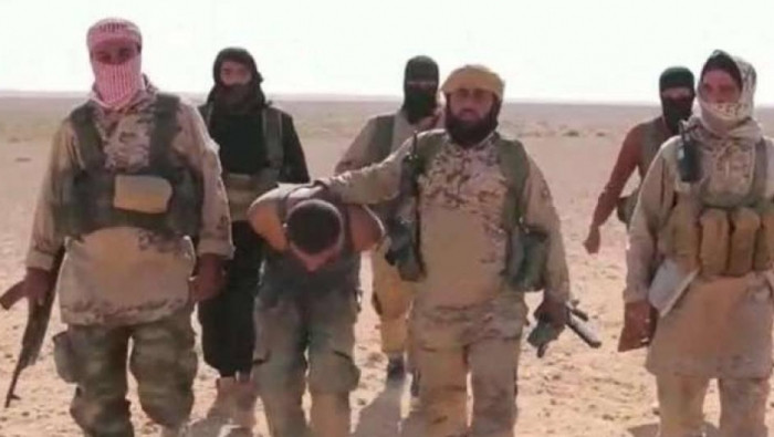 خبيرة ألمانية تطالب بإعادة مقا...