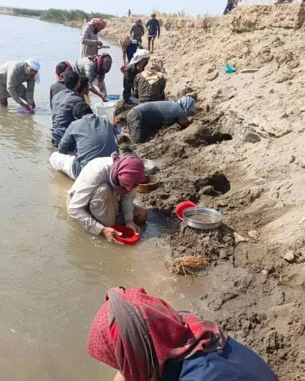 هل وجد سكان الرقة ذهباً على ضف...