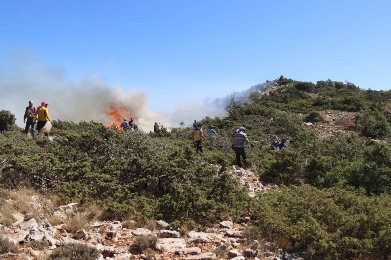 جهود مكثفة للسيطرة على حرائق ا...