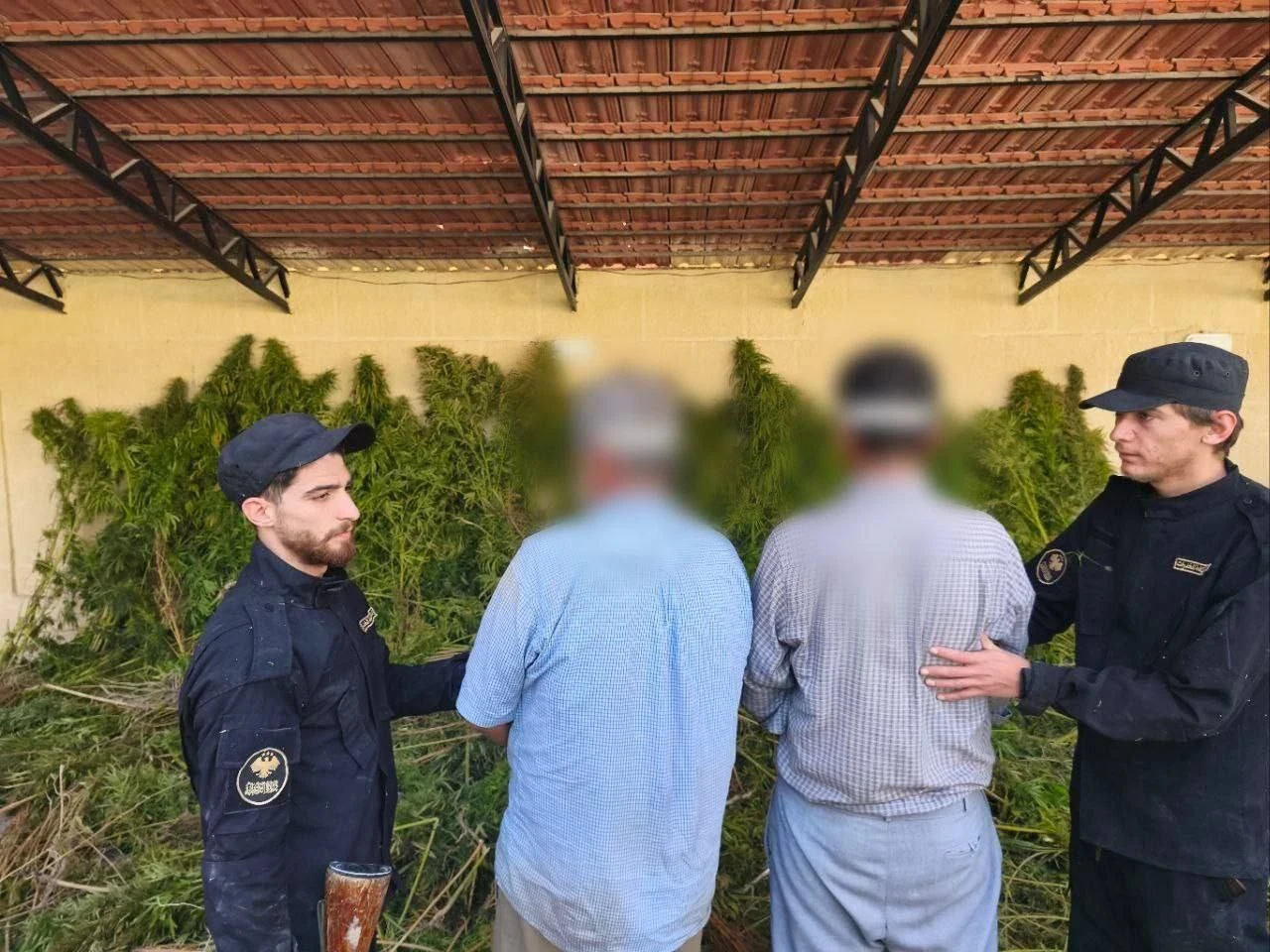 السلطات السورية تضبط مزرعة "حش...