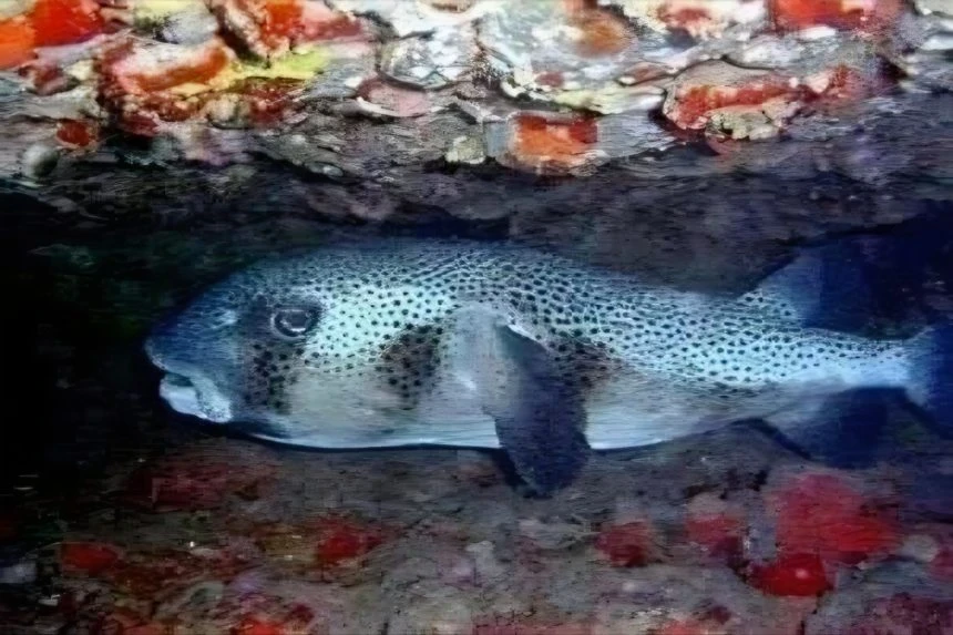 وفاة طفل وإصابة أسرته بتسمم حا...