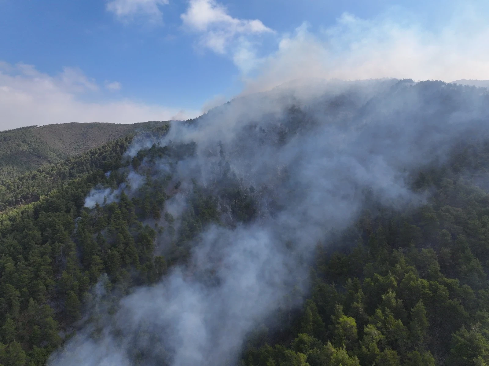 لليوم الثامن .. الدفاع المدني...