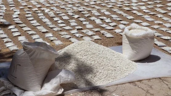 إحباط تهريب مليون قرص كبتاغون...