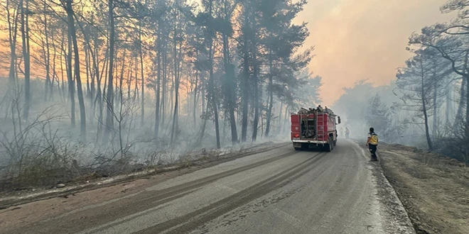طائرات الجيش السوري تشارك في إ...