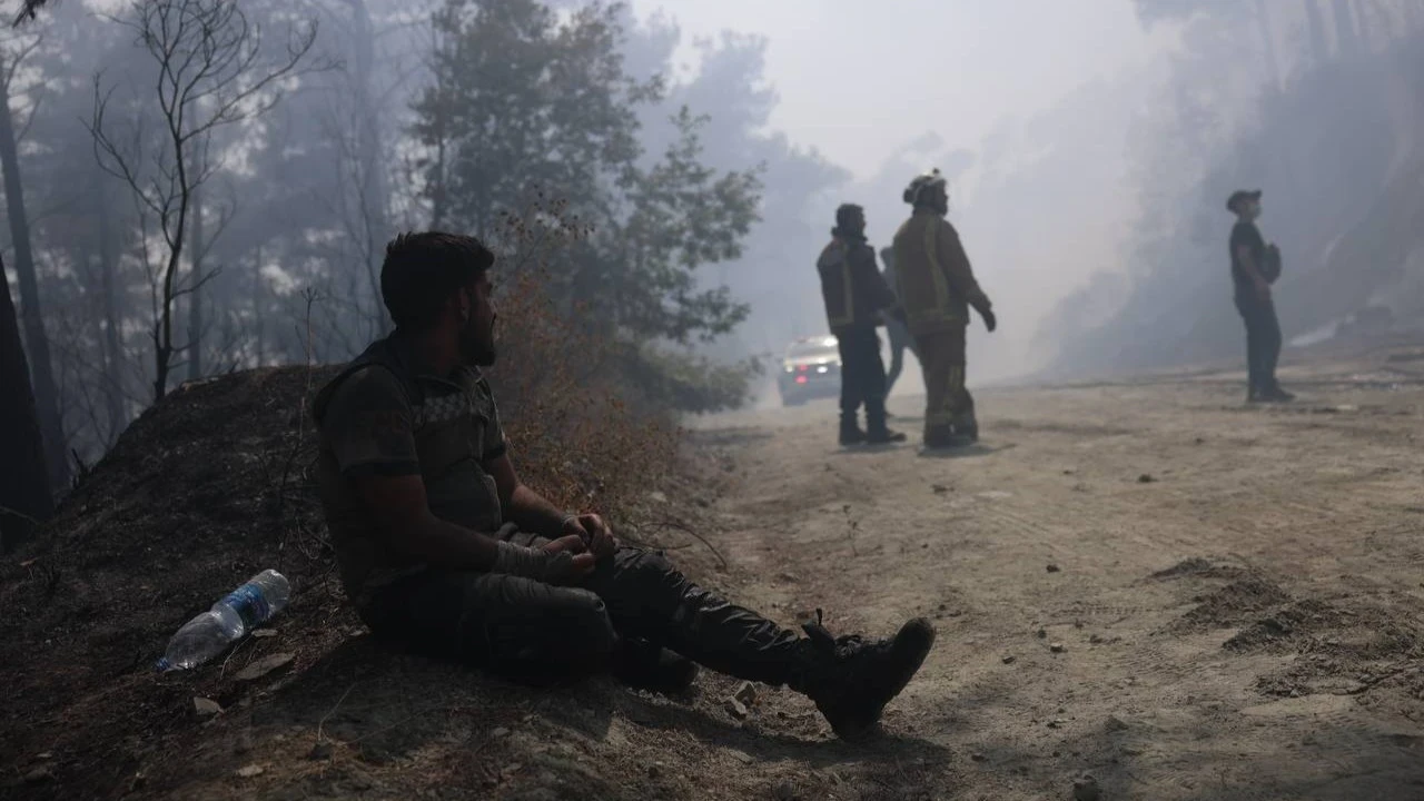 الأمم المتحدة تقيّم أضرار حرائ...