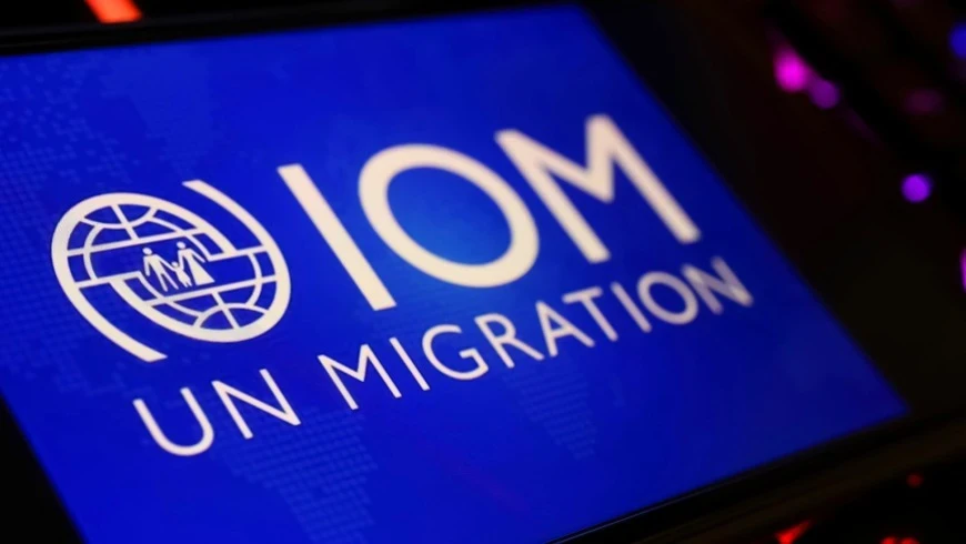 المنظمة الدولية للهجرة تعلن اس...