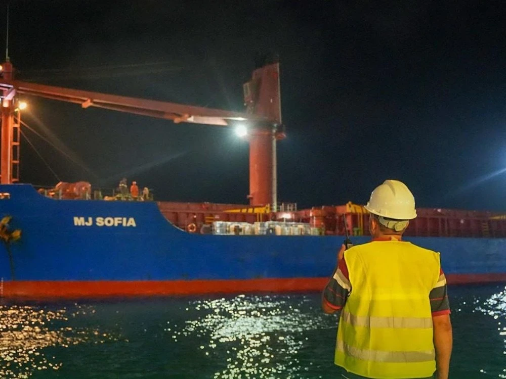 سوريا تستقبل أول شحنة محاصيل ع...